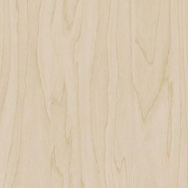 Gold Pale Birch swatch