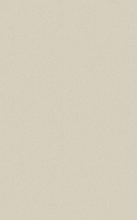 Dual Gray DP004 swatch