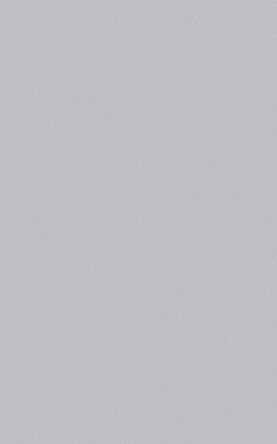 Dual Gray DP005 swatch