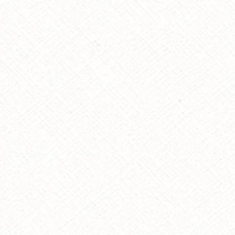 Emboss White ES101 swatch