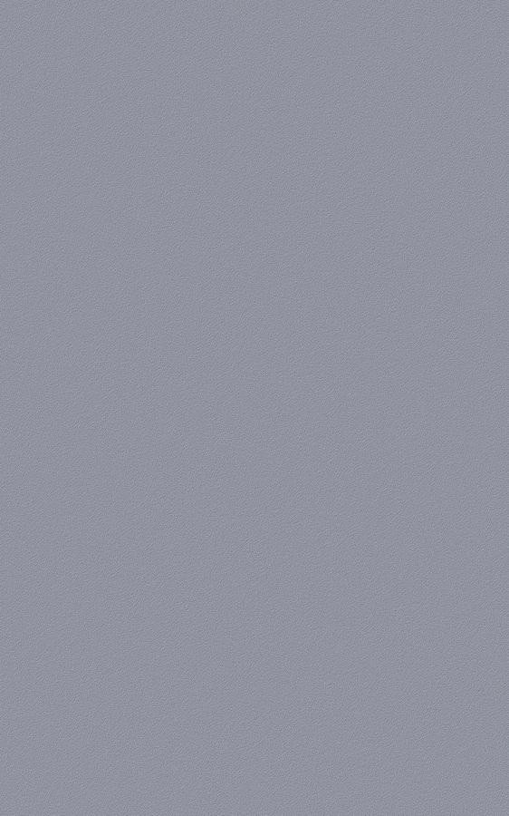 Solid Gray ES119 swatch