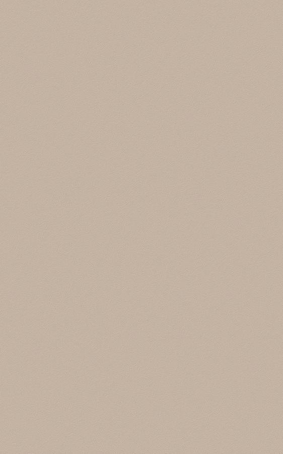 Solid Beige ES132 swatch