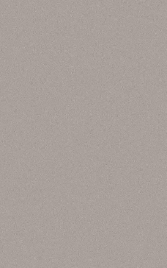 Solid Gray ES133 swatch