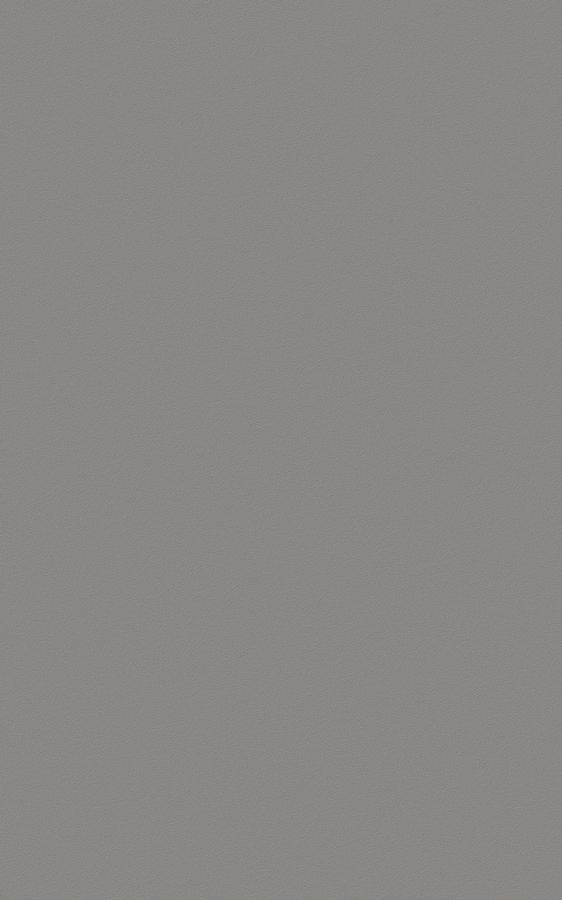 Solid Gray ES172 swatch
