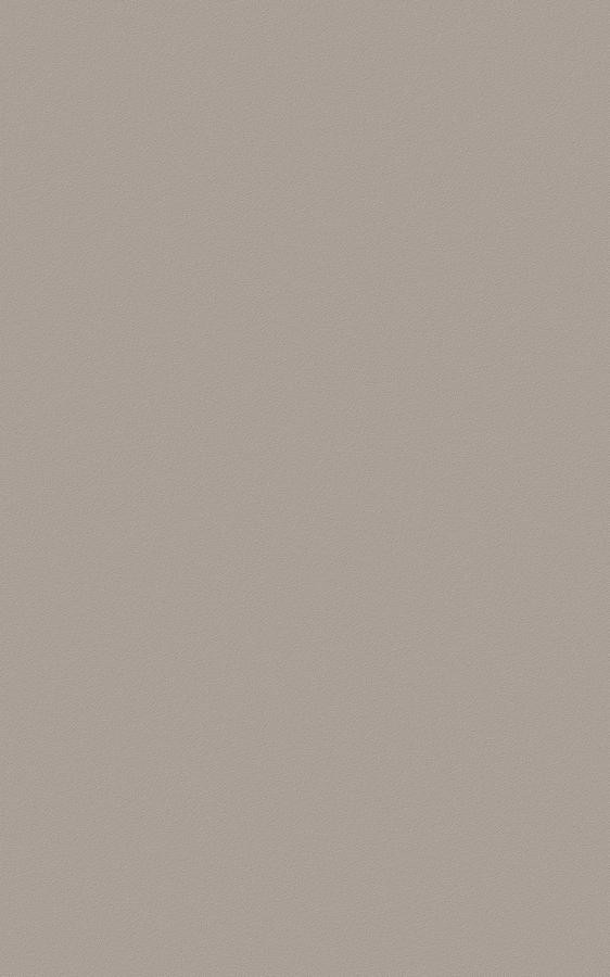 Solid Beige ES92 swatch