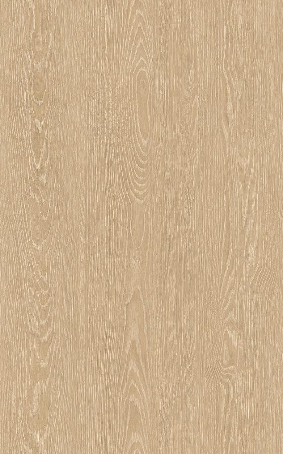 Wood Grayish EW604 swatch