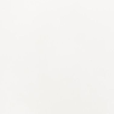 Lacquered White swatch