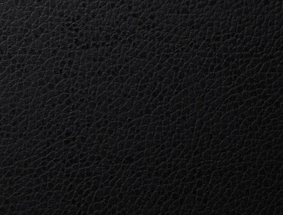 Leather LE-1551 swatch