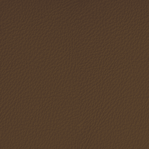 Cognac swatch