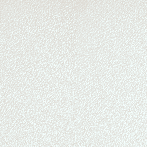 Ivory swatch