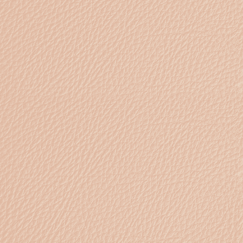 Blush Rose swatch