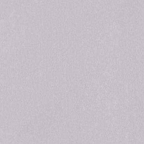 Metal Silver MS01 swatch