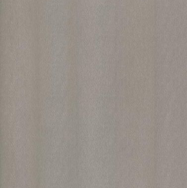 Champagne Silver swatch