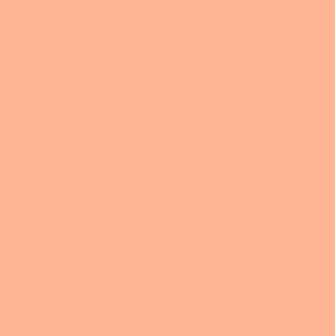 Peach swatch