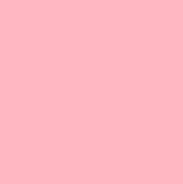 Pink Flamingo swatch