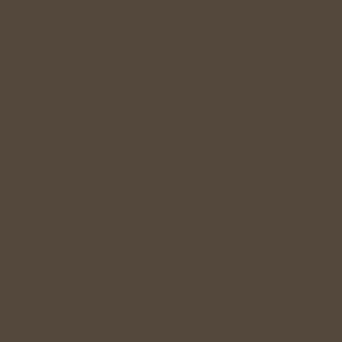 Cacao swatch