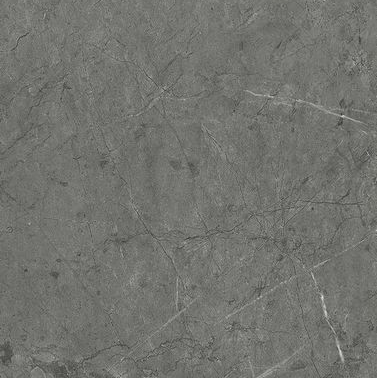 Armani Gris swatch