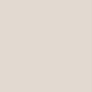 Warm Gray swatch