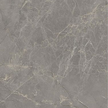 Etruscan Grey swatch