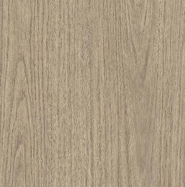 Eucalyptus Grove swatch