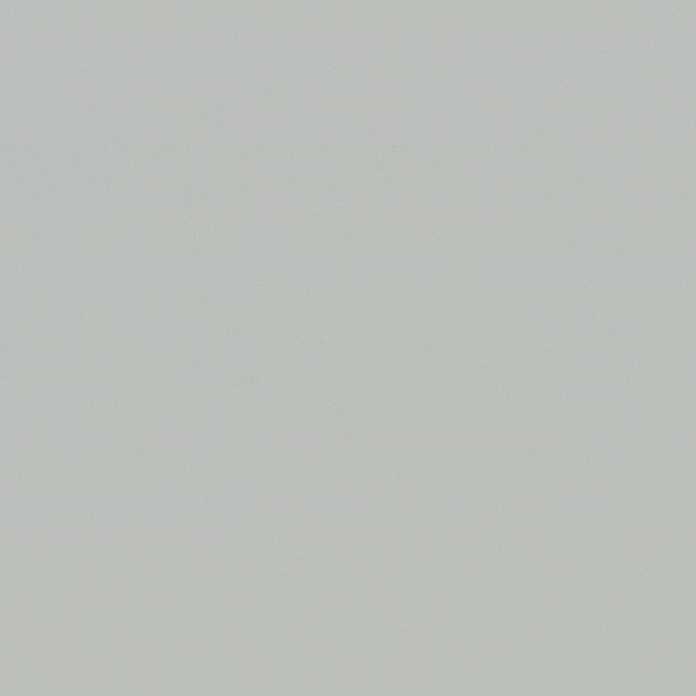 Silver Beige swatch