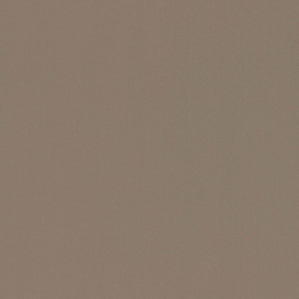 Suede Champage swatch
