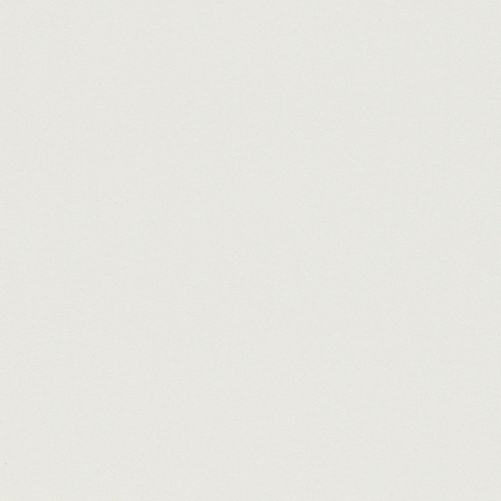 Canvas White swatch