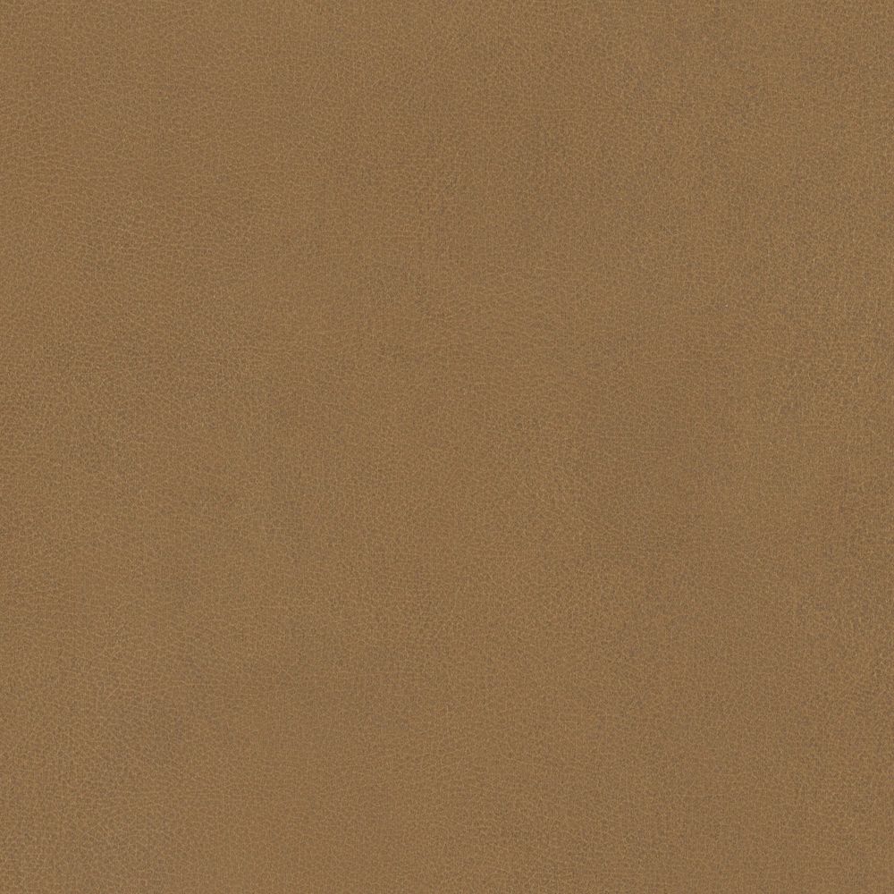 Camel swatch