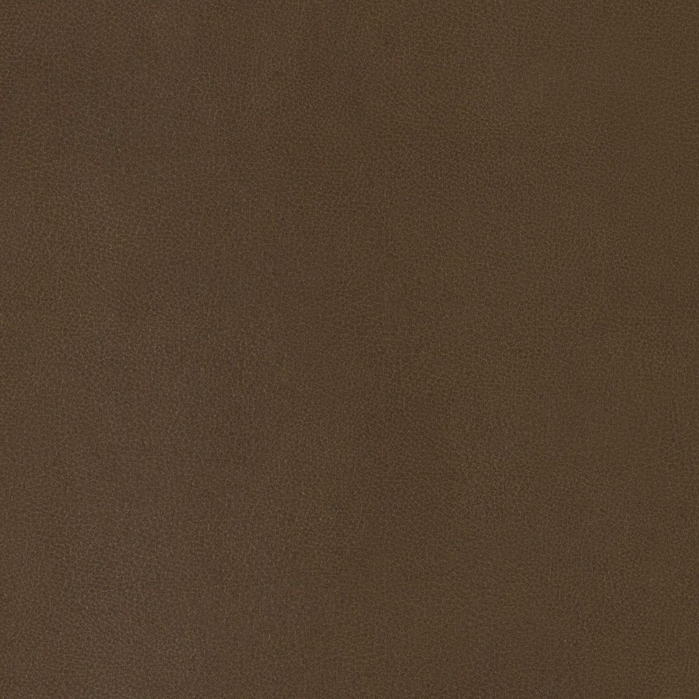 Cocoa swatch