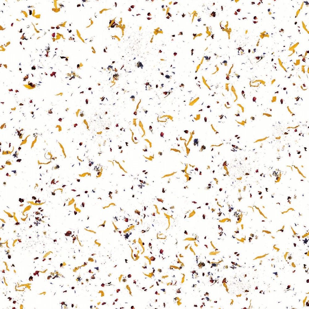 Petal swatch