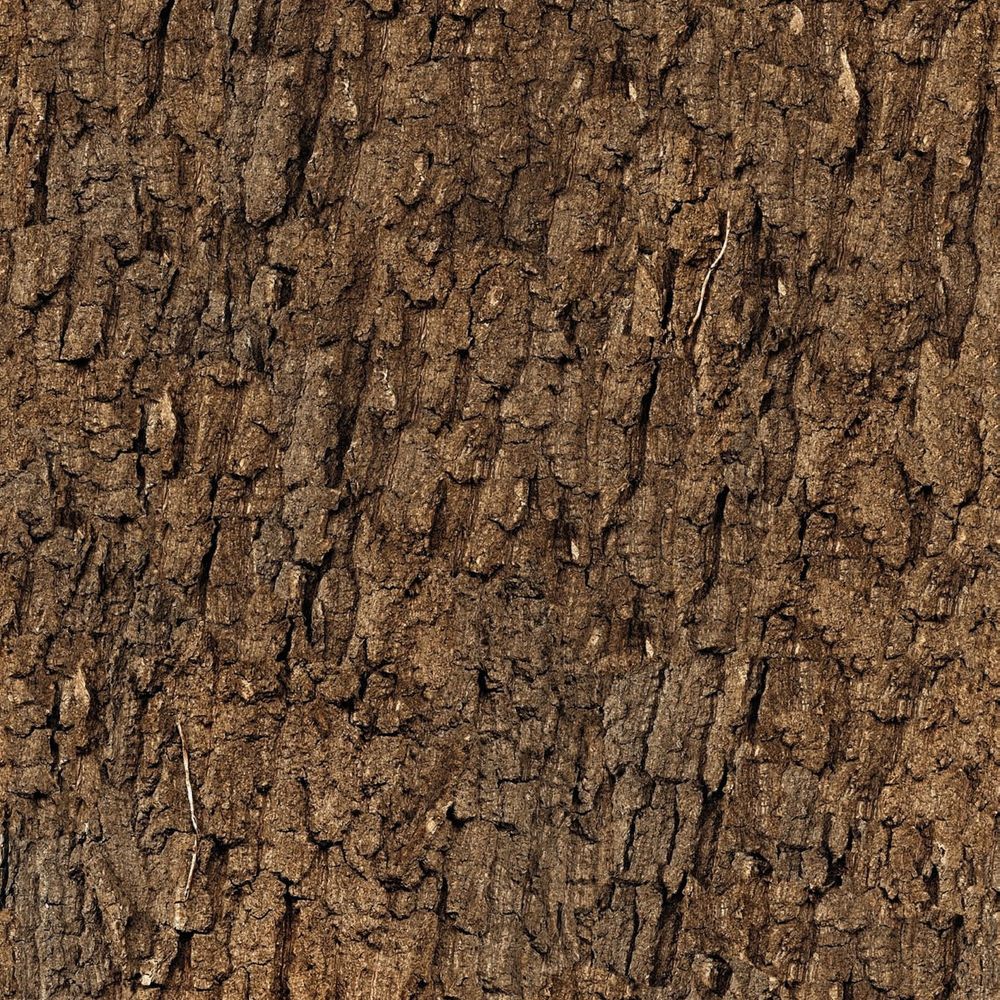 Bark swatch