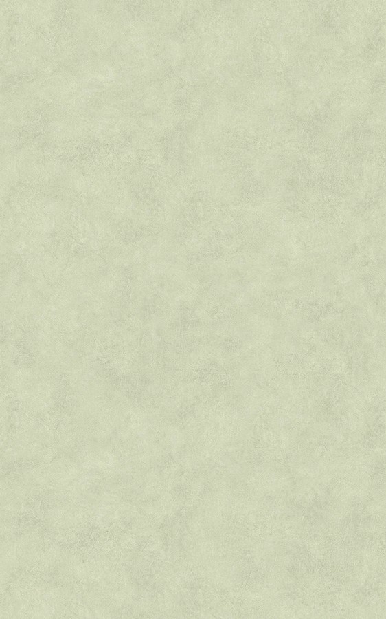 Concrete & Mortar NS008 swatch
