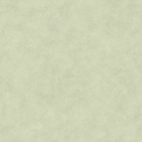 Concrete & Mortar NS008 swatch