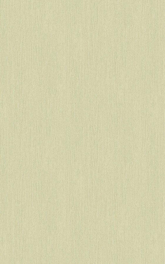 Premium Wood Grayish NW124 swatch