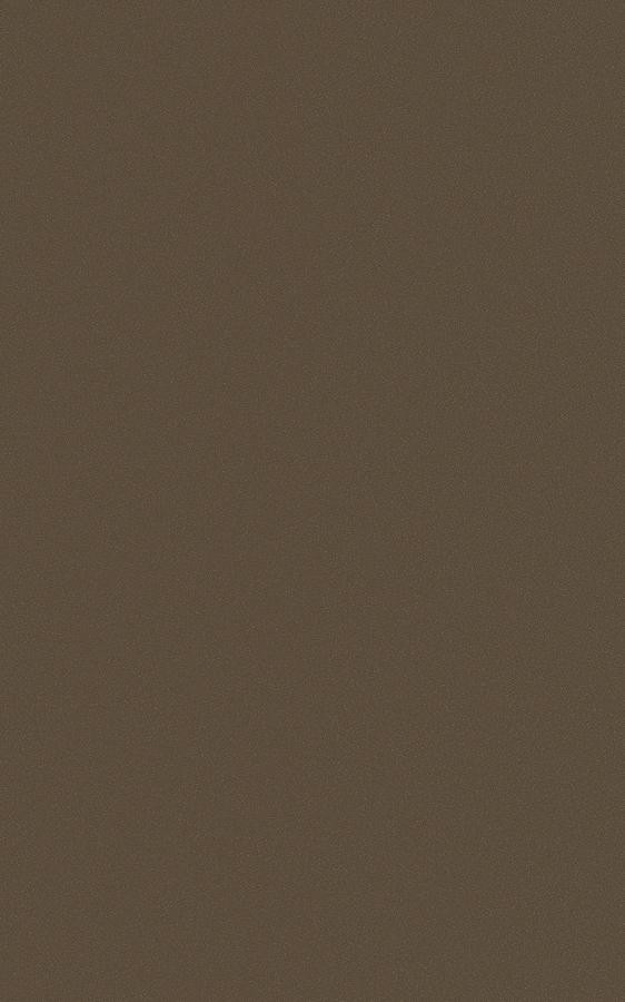 Metal Bronze RP47 swatch