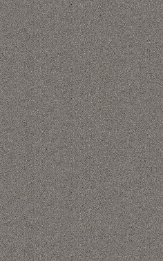Metal Gray RP49 swatch