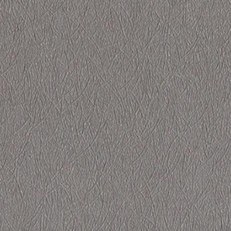 Metal Gray RP49 swatch