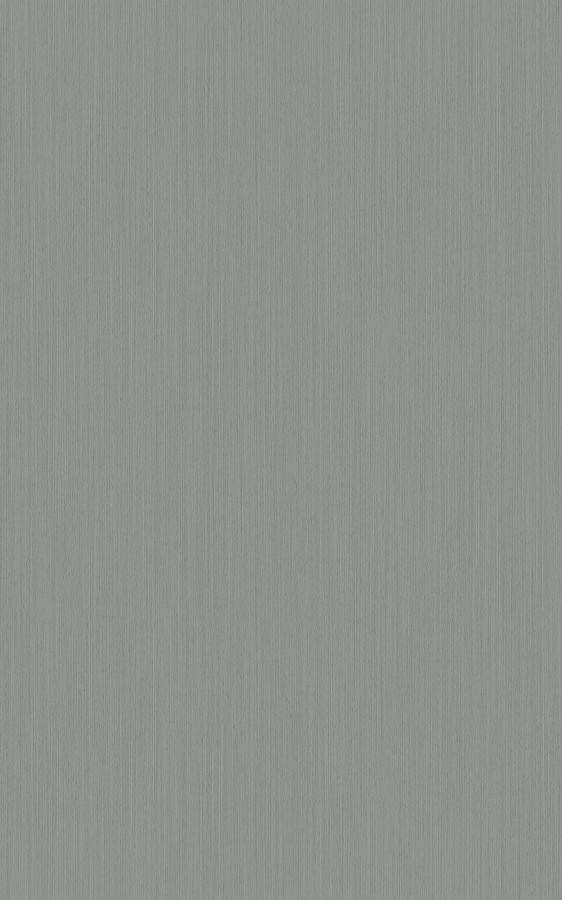 Metal Grayish RPE55 swatch