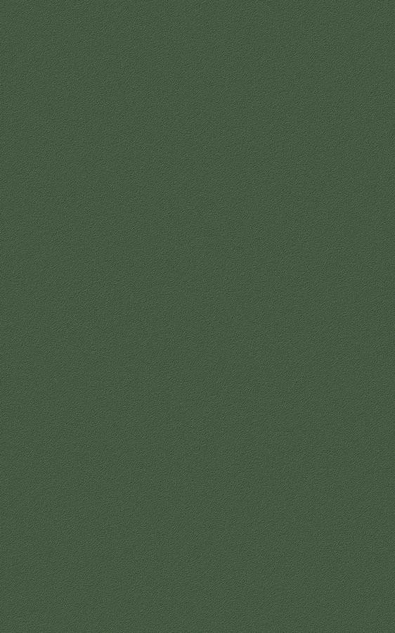 Solid Green RS120 swatch