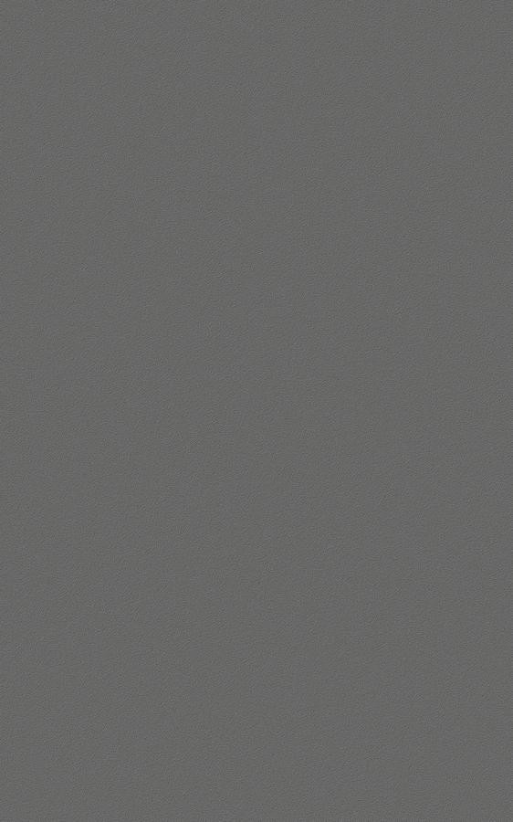 Solid Dark Gray RS121 swatch