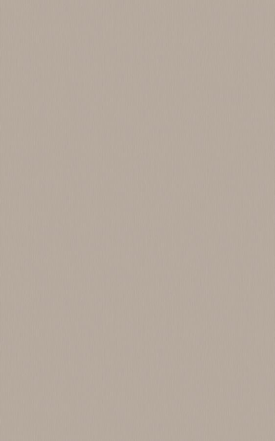 Emboss Gray RS161 swatch