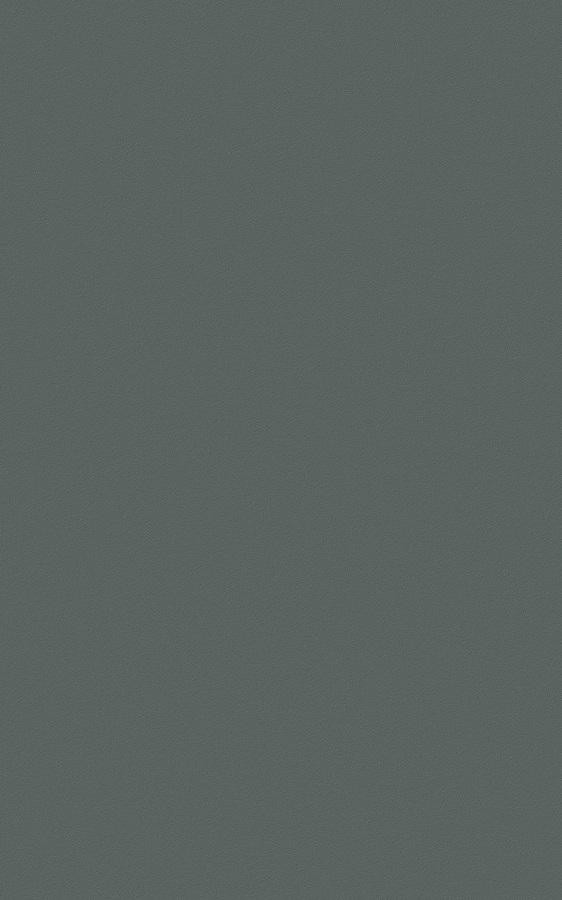 Solid Dark Gray RS165 swatch