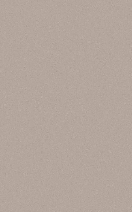 Solid Beige RS176 swatch
