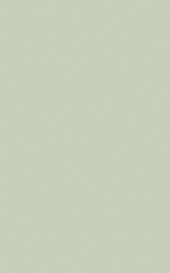 Solid Green RS189 swatch