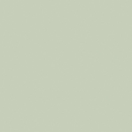 Solid Green RS189 swatch