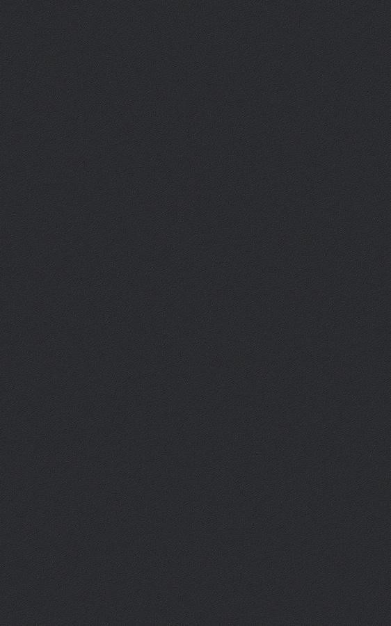 Solid Black RS22 swatch