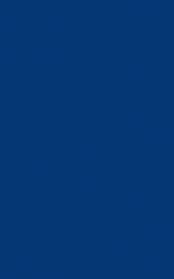 Solid Blue RS27 swatch