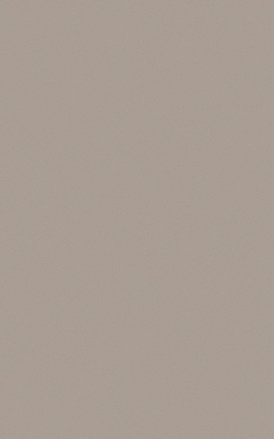 Solid Gray RS35 swatch