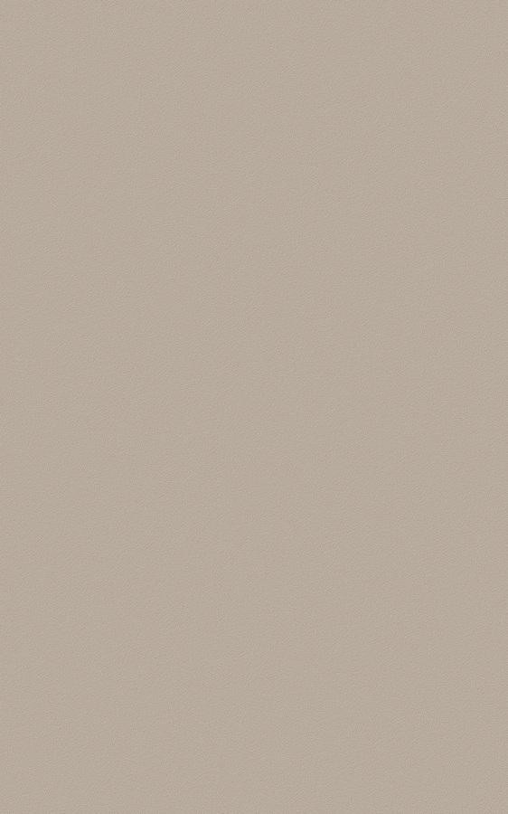 Solid Beige RS40 swatch