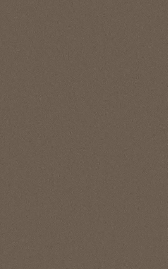 Solid Brown RS47 swatch